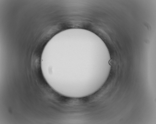 X0000113910123200910151426