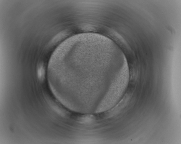 X0000113910124200910151426