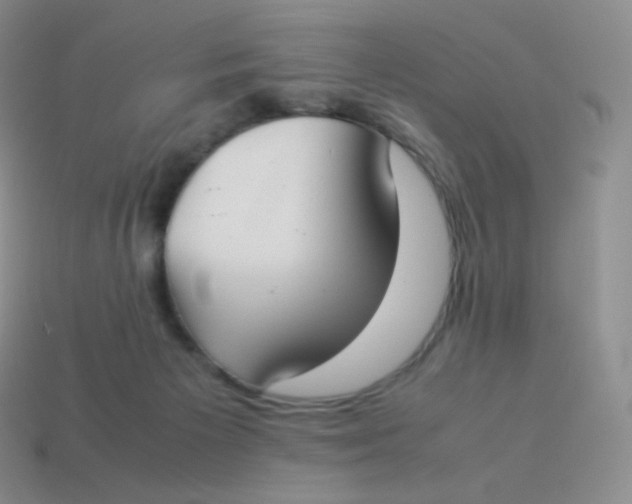 X0000113910125200910151426