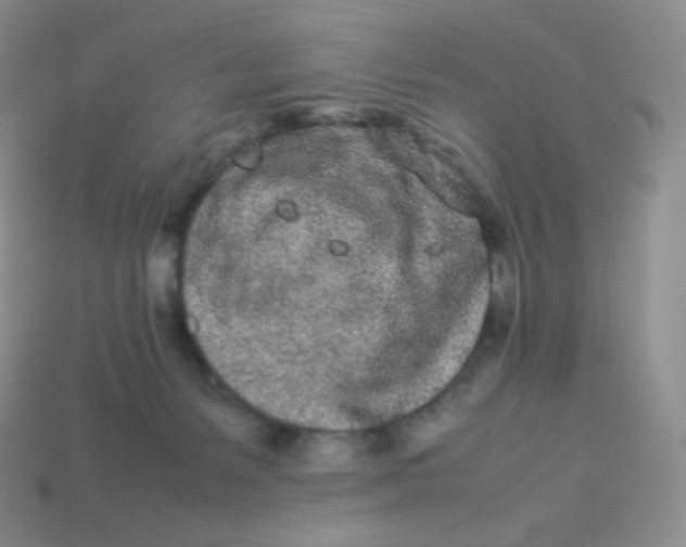 X0000113910127200910151426