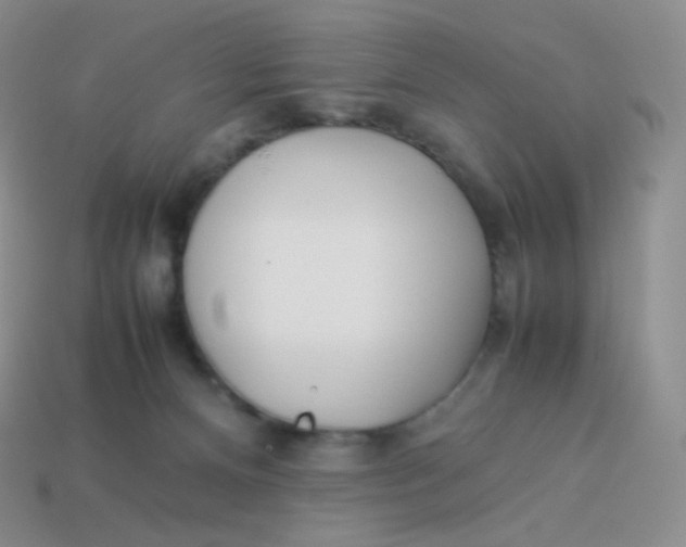 X0000113910128200910151426