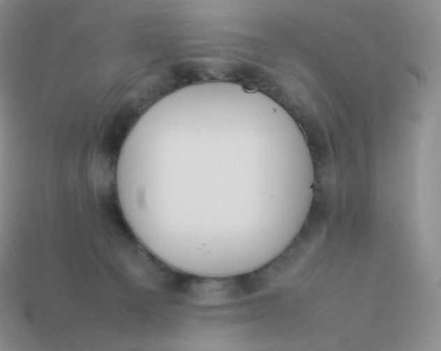 X0000113910129200910151426