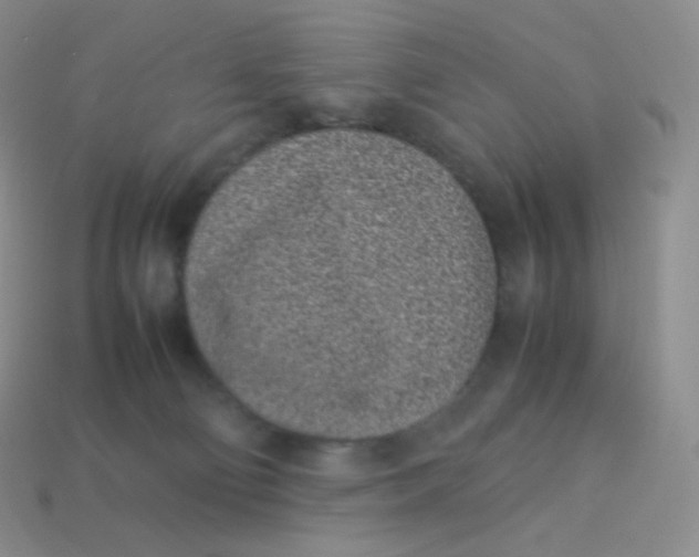 X0000113910130200910151426