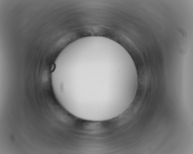 X0000113910132200910151426