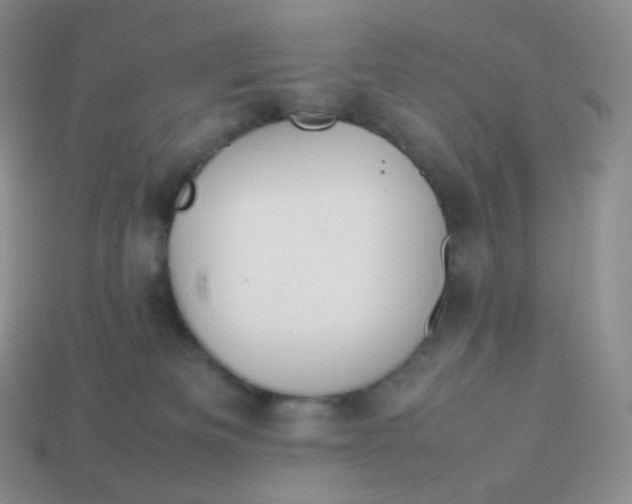 X0000113910133200910151426