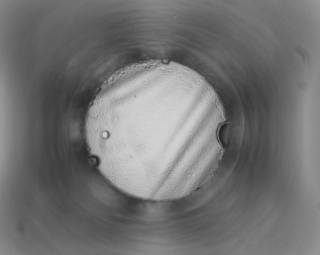 X0000113910134200910151426