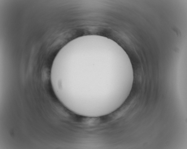 X0000113910135200910151426