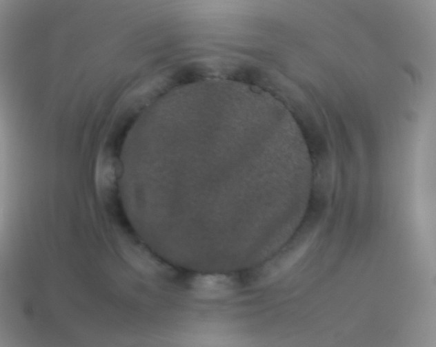 X0000113910137200910151426