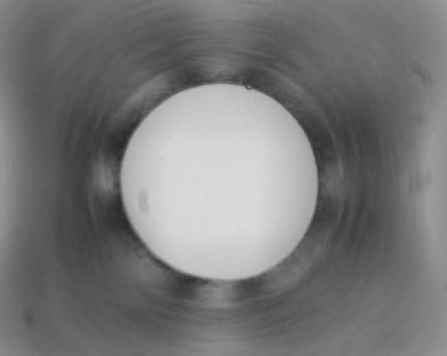 X0000113910138200910151426