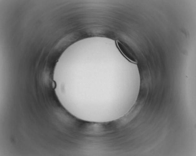 X0000113910140200910151426