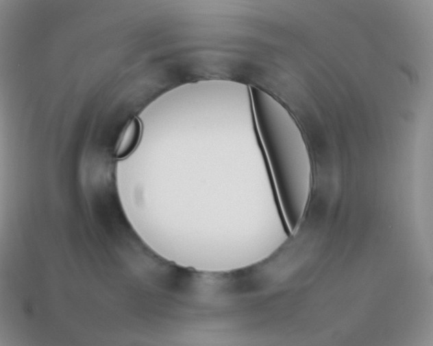 X0000113910141200910151426