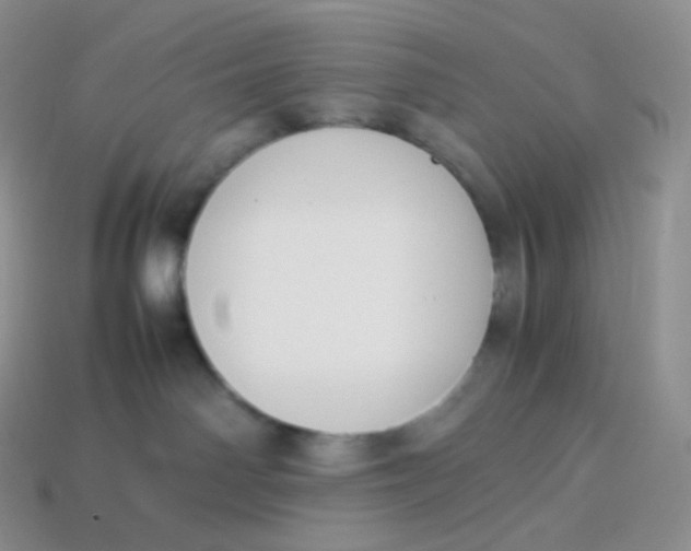 X0000113910142200910151426