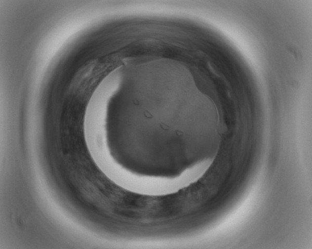 X0000113910143200910151425