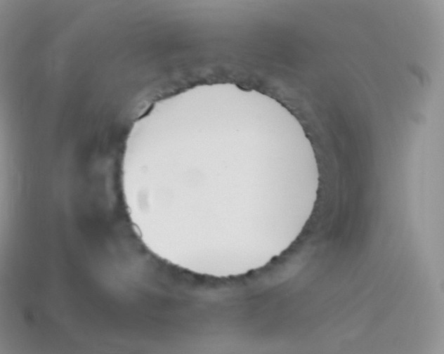 X0000113910144200910151425