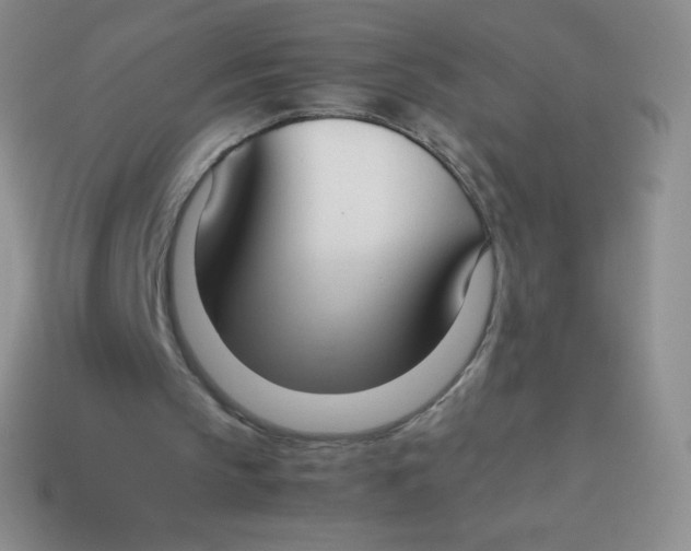 X0000113910145200910151425