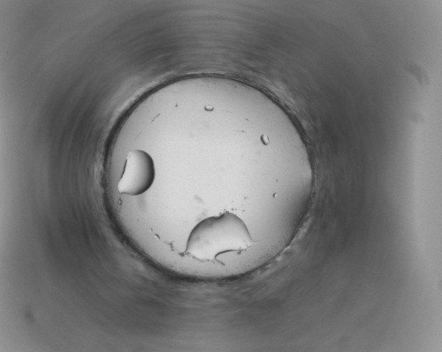 X0000113910146200910151425