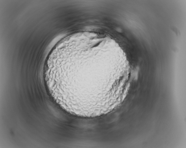 X0000113910147200910151425