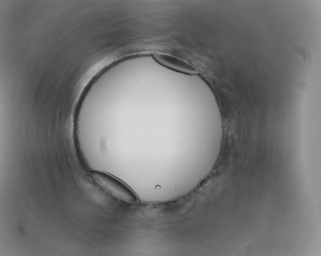 X0000113910148200910151425