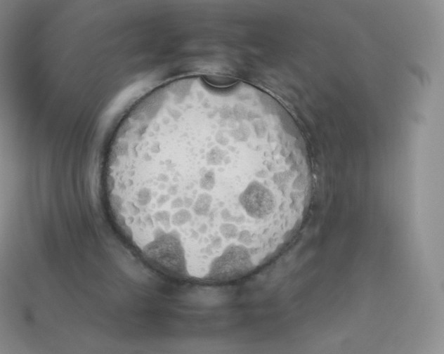 X0000113910149200910151425