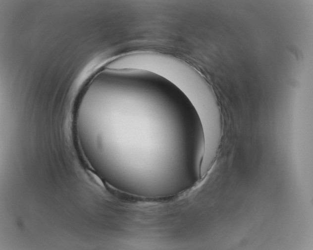 X0000113910150200910151425