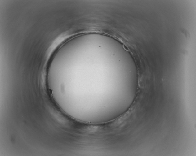 X0000113910152200910151425