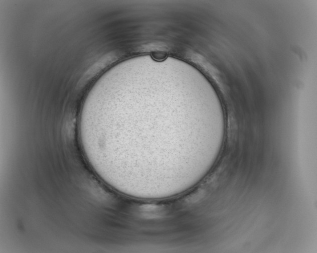 X0000113910153200910151425