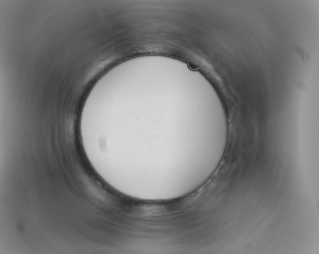 X0000113910154200910151425