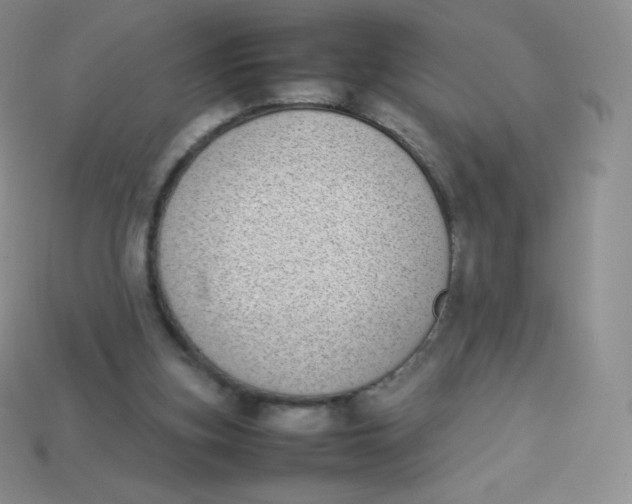 X0000113910155200910151425