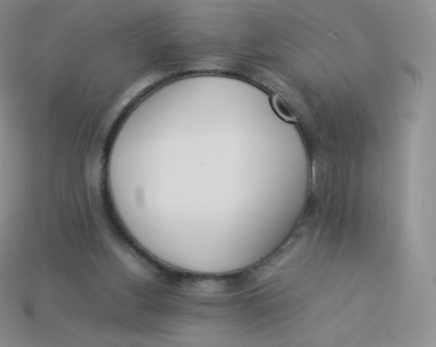 X0000113910156200910151425