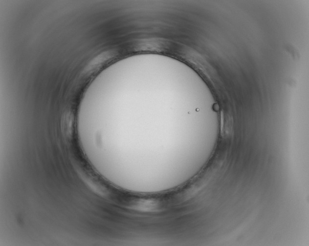 X0000113910157200910151425