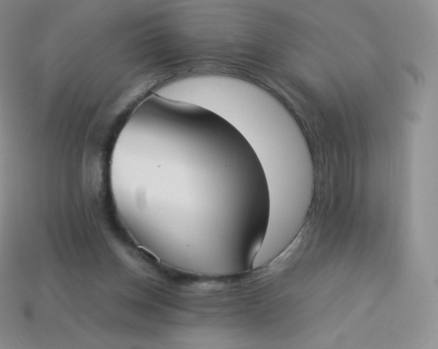 X0000113910158200910151425