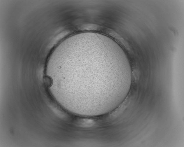 X0000113910159200910151425