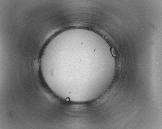 X0000113910160200910151425