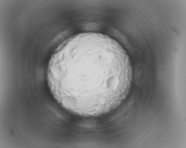 X0000113910161200910151425