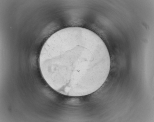 X0000113910162200910151425