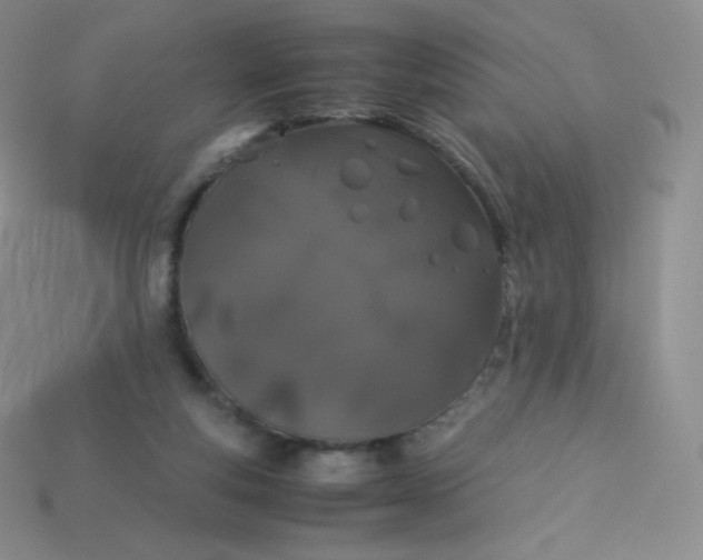 X0000113910163200910151425