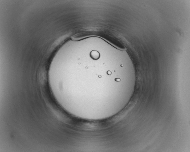 X0000113910164200910151425