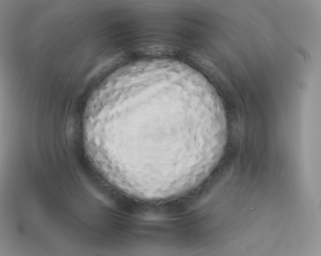 X0000113910165200910151425