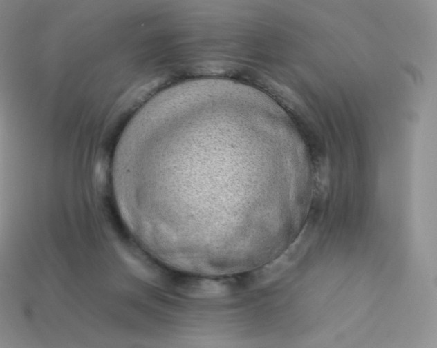 X0000113910166200910151425