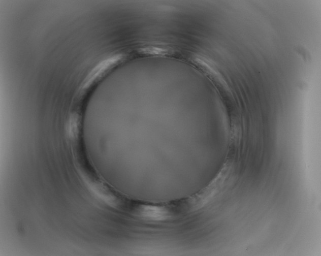 X0000113910167200910151425