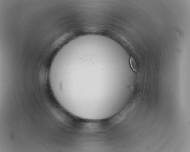 X0000113910168200910151425