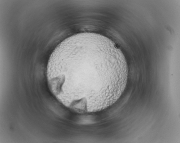 X0000113910169200910151425