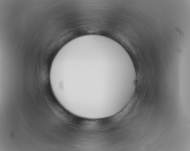 X0000113910170200910151425