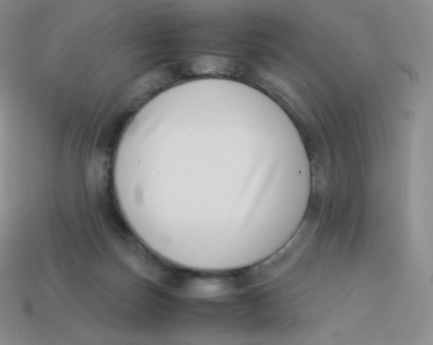 X0000113910171200910151425