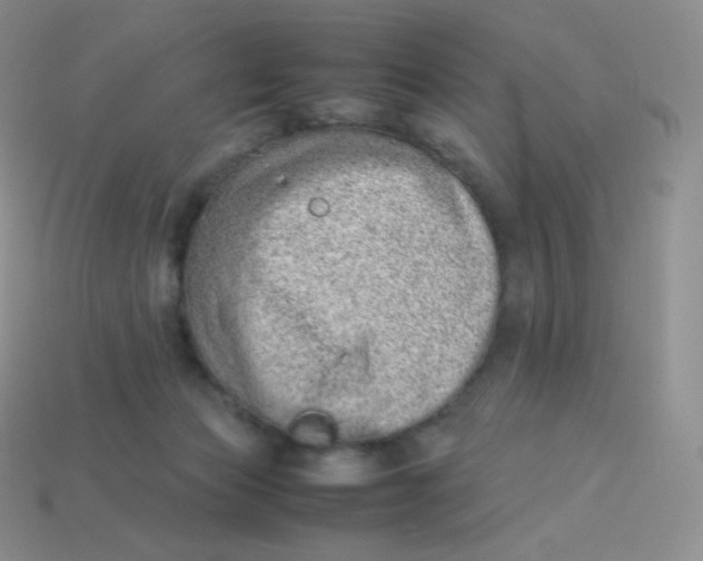 X0000113910173200910151425