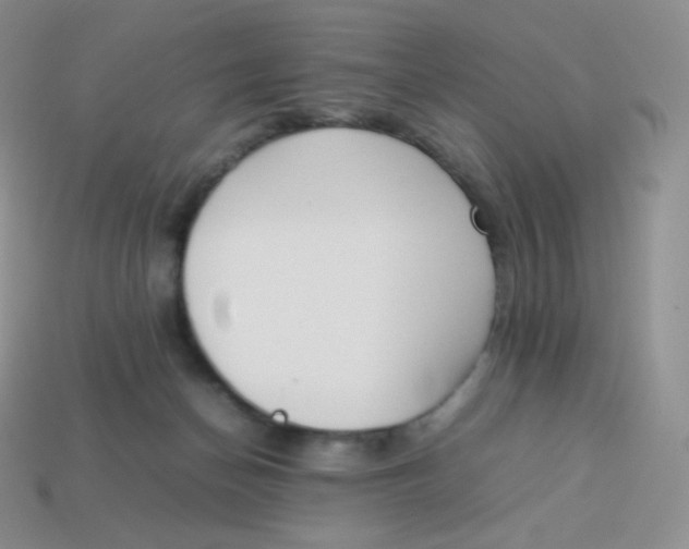 X0000113910174200910151425