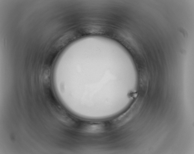 X0000113910175200910151425