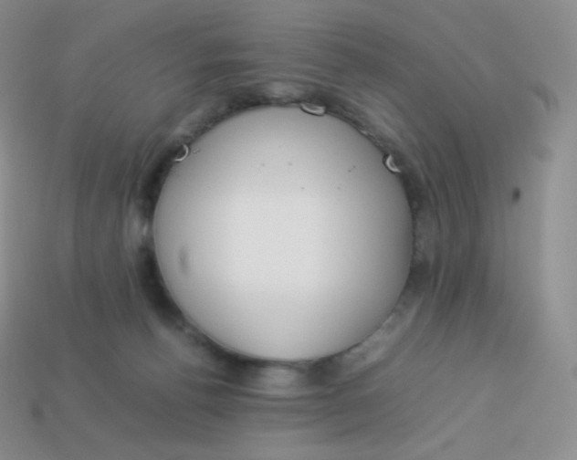 X0000113910176200910151425