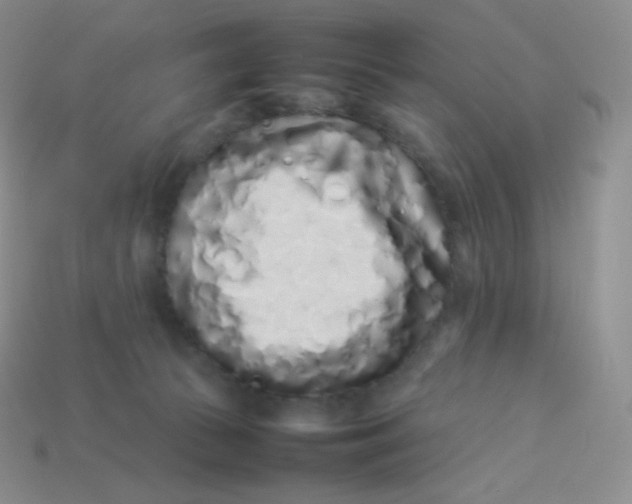 X0000113910177200910151425