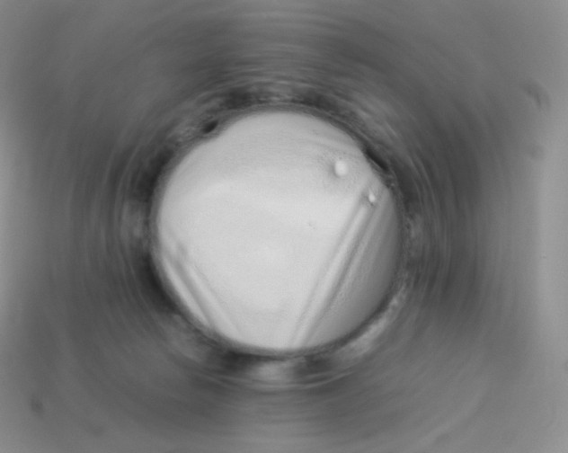 X0000113910178200910151425